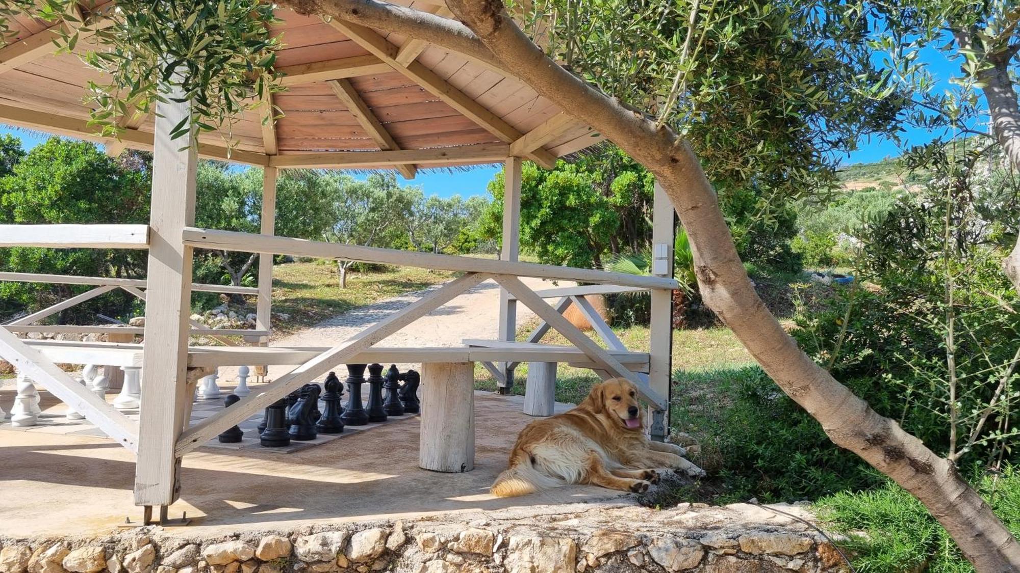 Blue Caves Villas - Exceptional Villas With Private Pools Direct Access To The Sea Koríthion Esterno foto